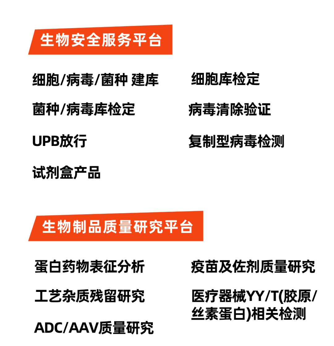 1762420265697325.png a3e6f2ad-35ce-4d10-a559-a541bb1ac2d5.png