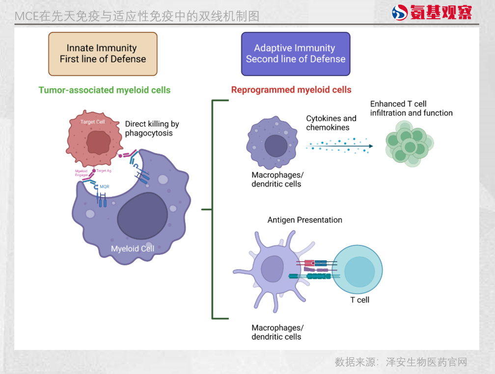 1764049787975717.png 666.png